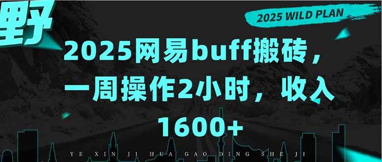 （15666期）2025网易buff搬砖，一周操作2小时，收入1600+-啾啾源码网
